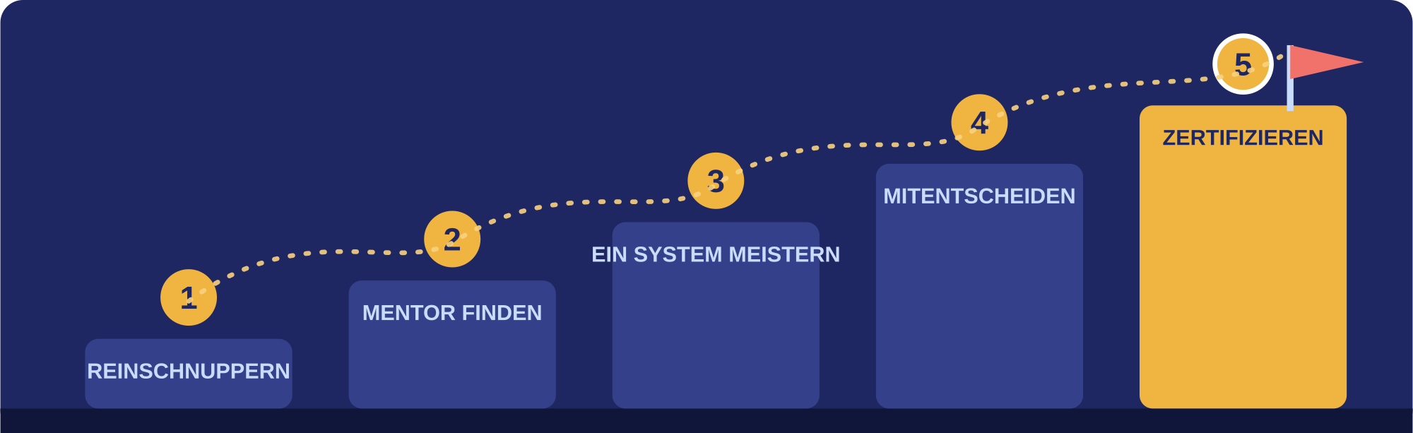 Reinschnuppern, Mentor finden, ein System meistern, mitentscheiden, zertifizieren